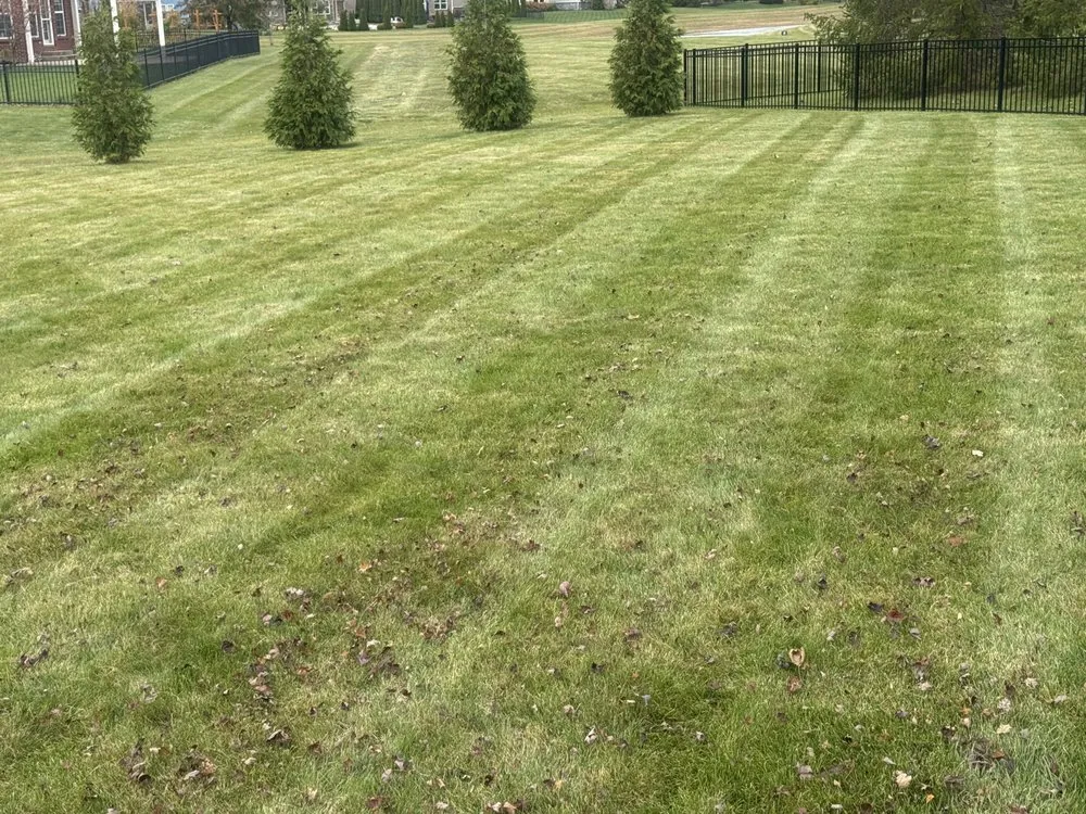 Trusted outdoor landscaping in Indianapolis, IN by Uniquely Different Lawn Care