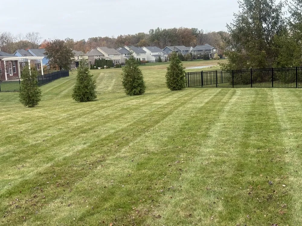 Top-rated yard cleanup service near you in Indianapolis, IN by Uniquely Different Lawn Care