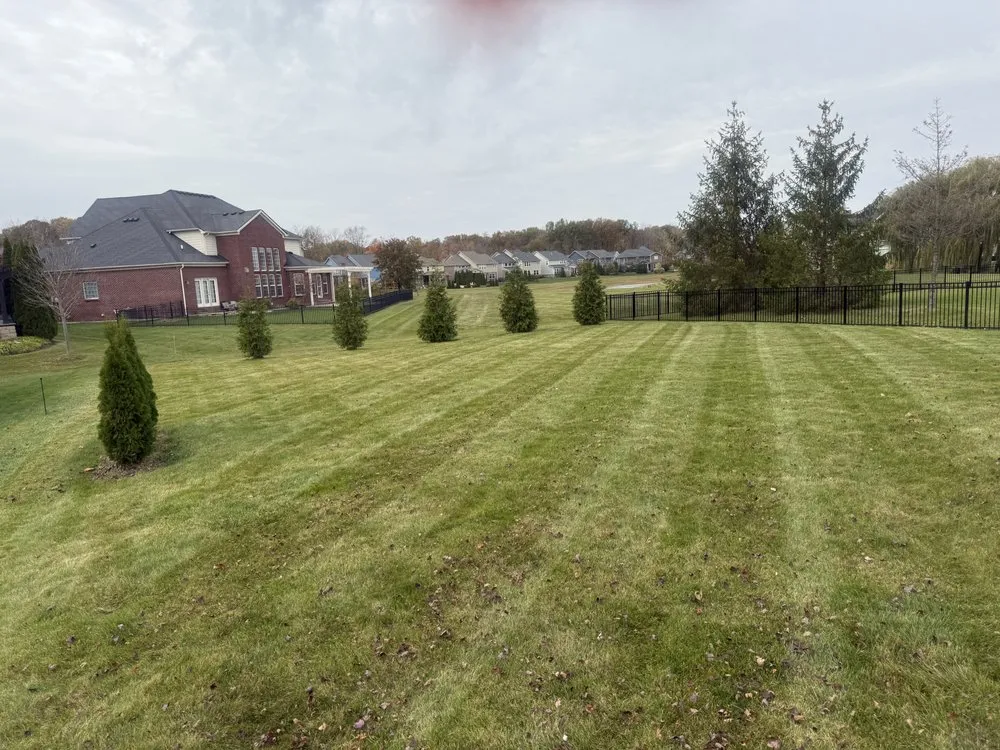 Reliable lawn care service in Indianapolis, IN by Uniquely Different Lawn Care