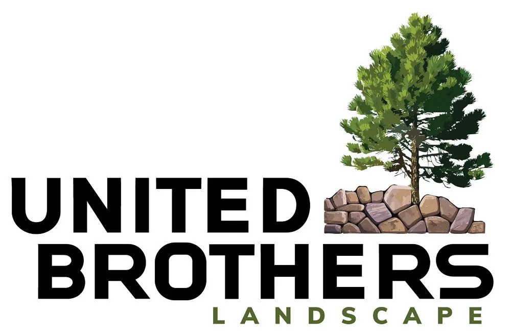 Professional yard maintenance in Cologne, MN - United Brothers