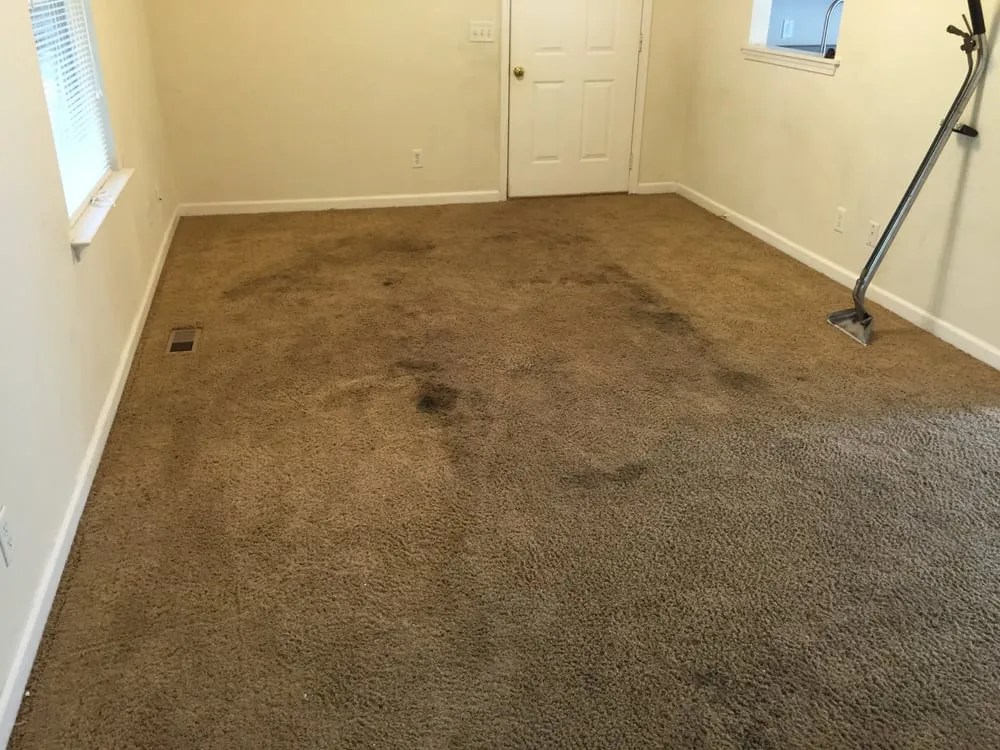 Custom landscape design in Savannah, GA - United Commercial Services