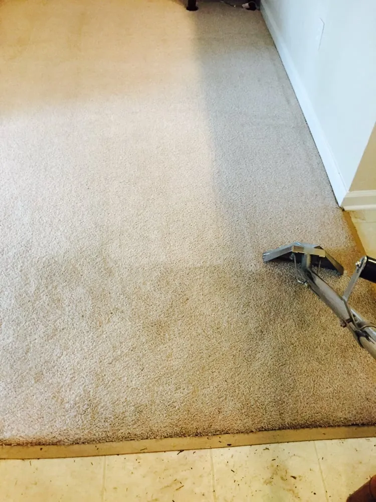 Professional landscaping services in Savannah, GA - United Commercial Services