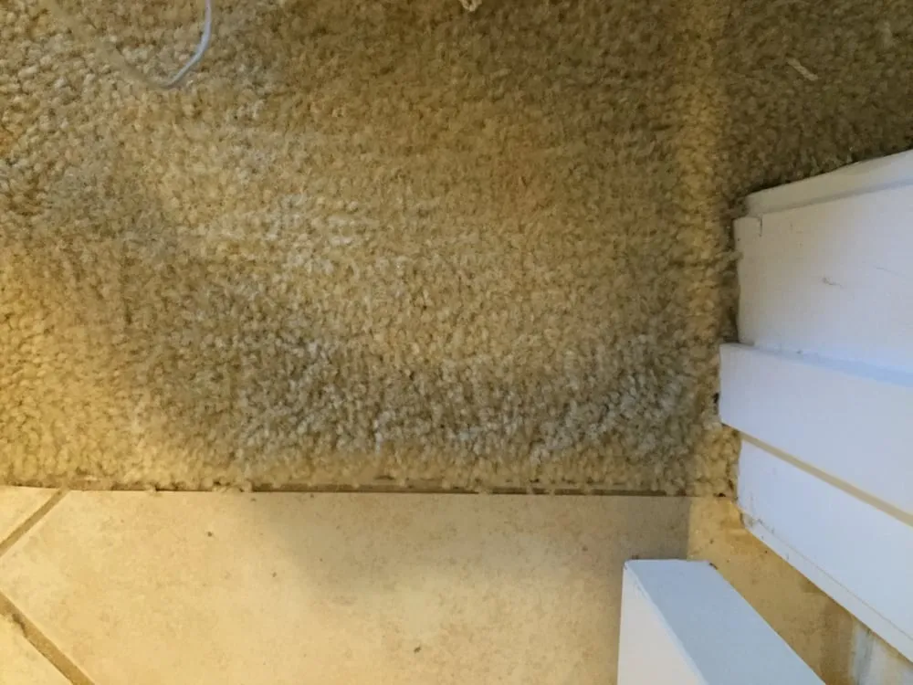 Reliable lawn care service in Savannah, GA by United Commercial Services