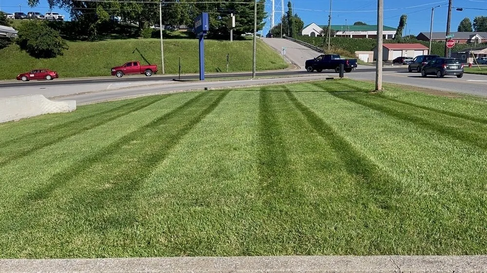 Top-rated landscaping services for outdoor upgrades in Franklin, KY by United Contracting Lawn Care