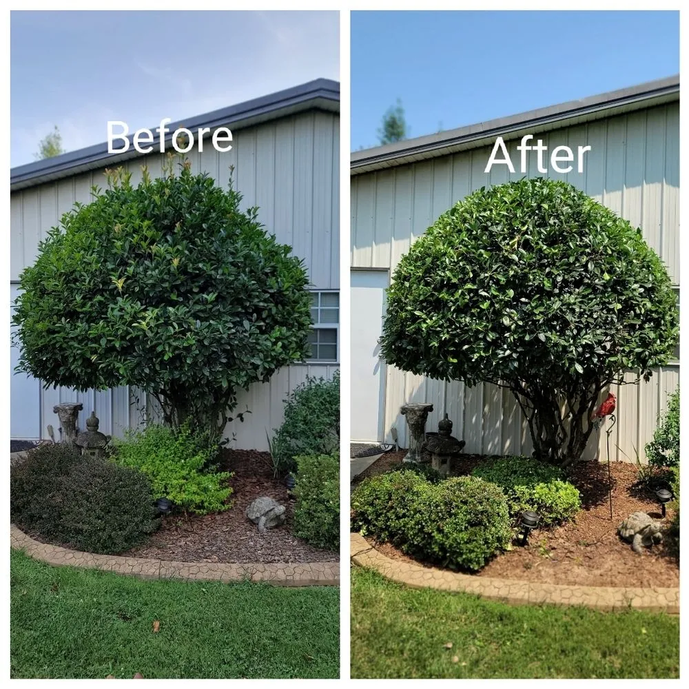 Custom landscaping services in Franklin, KY - United Contracting Lawn Care