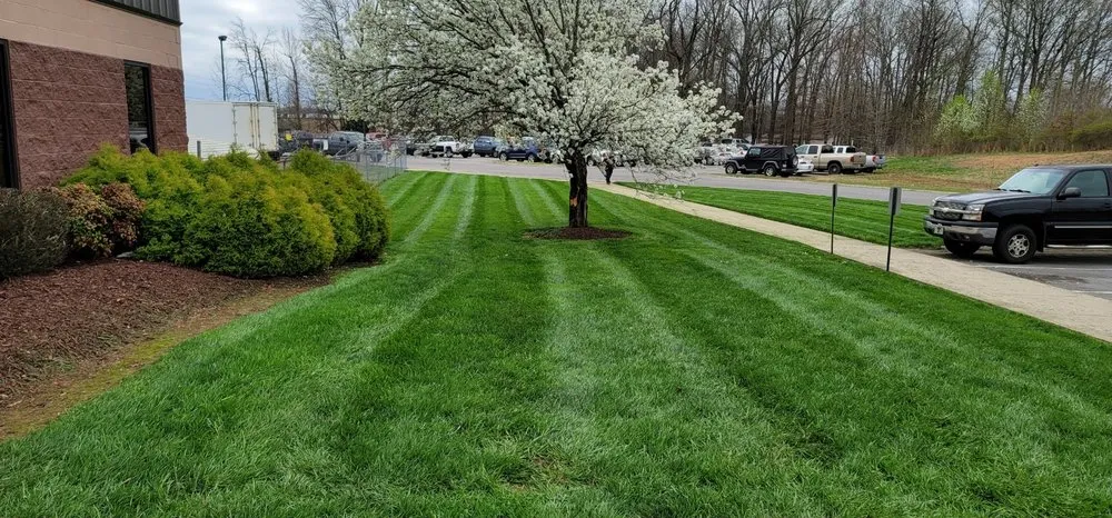 Expert outdoor landscaping in Franklin, KY by United Contracting Lawn Care