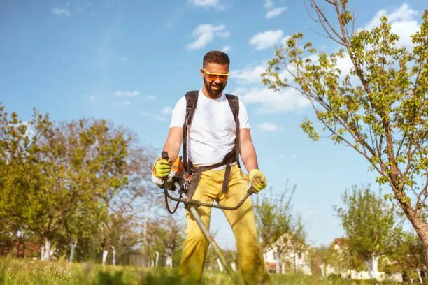 Expert yard cleanup service for year-round maintenance across Moreno Valley, CA - United Contracting Services