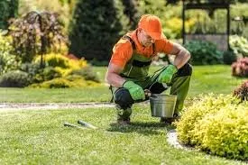 Professional landscaping services in Moreno Valley, CA by United Contracting Services