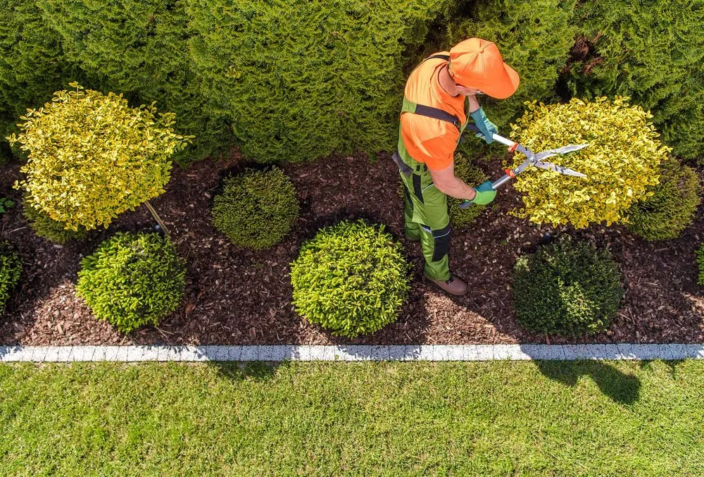 Local landscaping services in Morristown, NJ - United Land & Snow Management