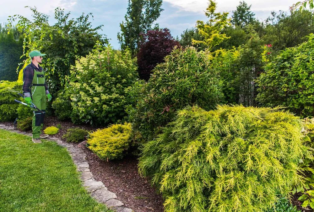 Affordable residential landscaping experts serving Morristown, NJ - United Land & Snow Management