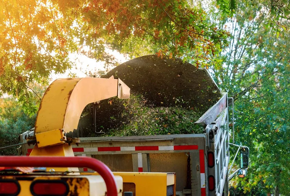 Custom yard maintenance experts serving Morristown, NJ - United Land & Snow Management