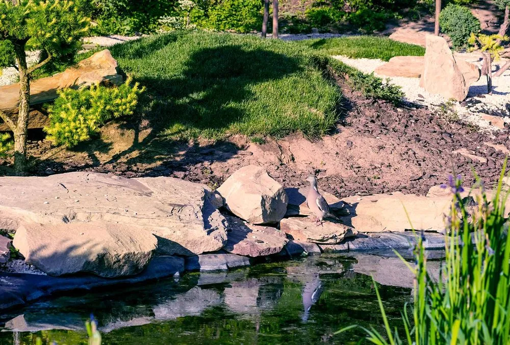 Affordable lawn care service for year-round maintenance in Morristown, NJ by United Land & Snow Management