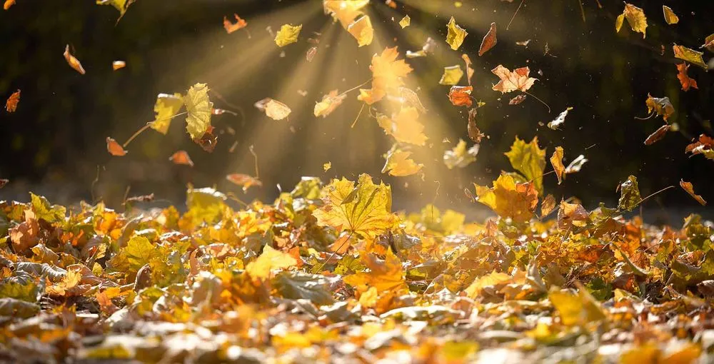 Custom yard maintenance with custom design in Morristown, NJ by United Land & Snow Management