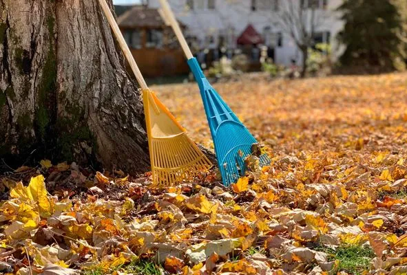 United Land & Snow Management Logo