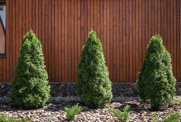 Affordable landscape design experts serving Augusta, NJ - United Land Care