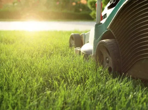 Top-rated residential landscaping in Augusta, NJ - United Land Care