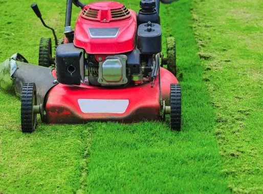 Professional landscaping services with custom design across Augusta, NJ - United Land Care