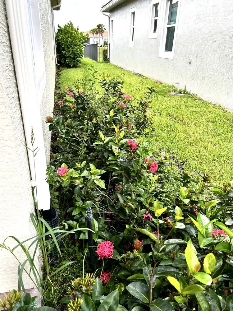 Top-rated lawn mowing service in Orlando, FL - United Land Services