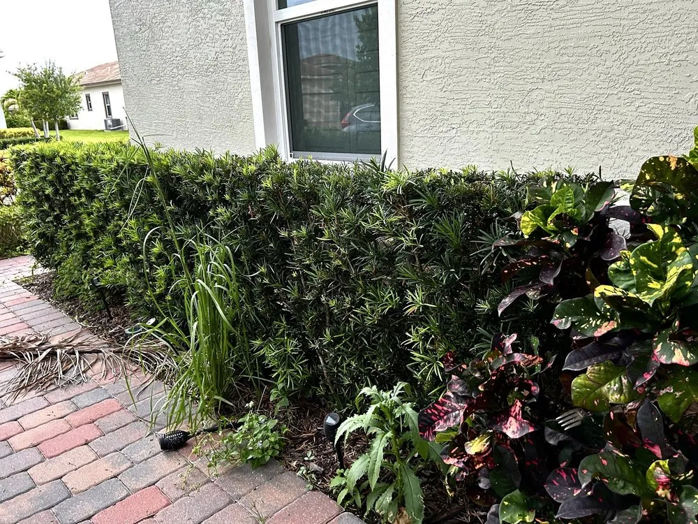 Reliable lawn mowing service experts serving Orlando, FL - United Land Services