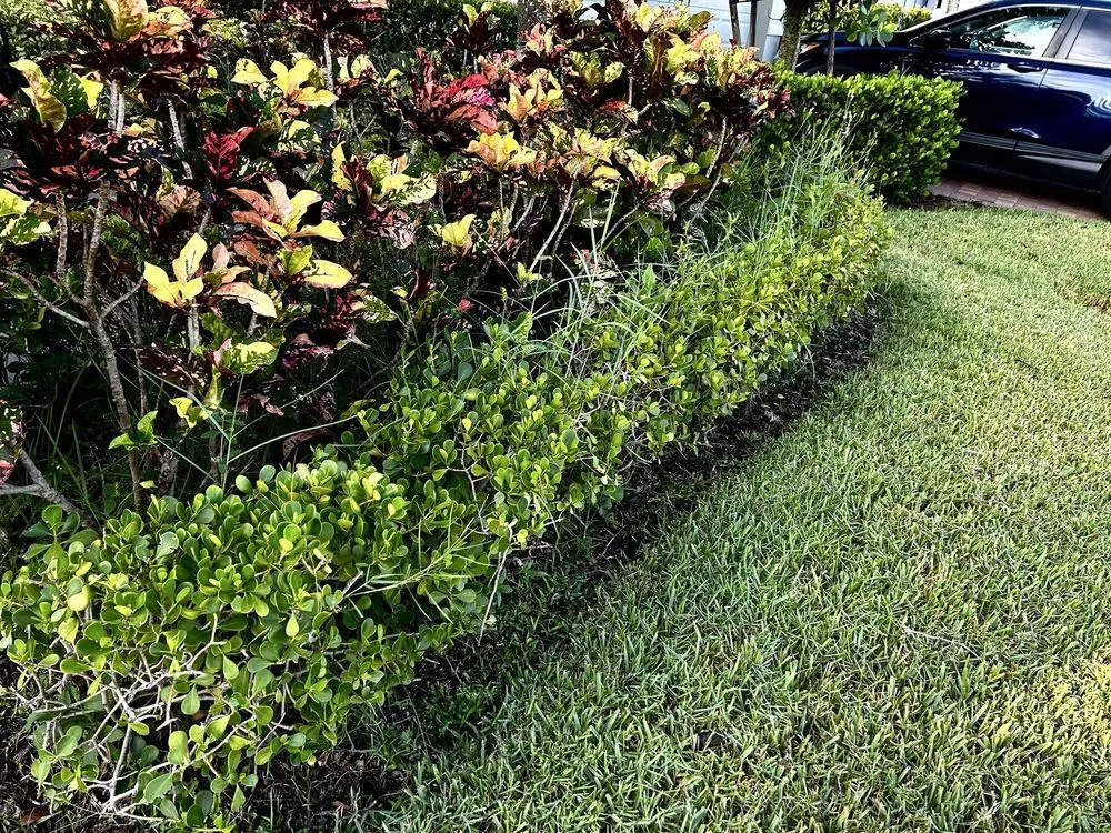 Reliable residential landscaping in Orlando, FL by United Land Services