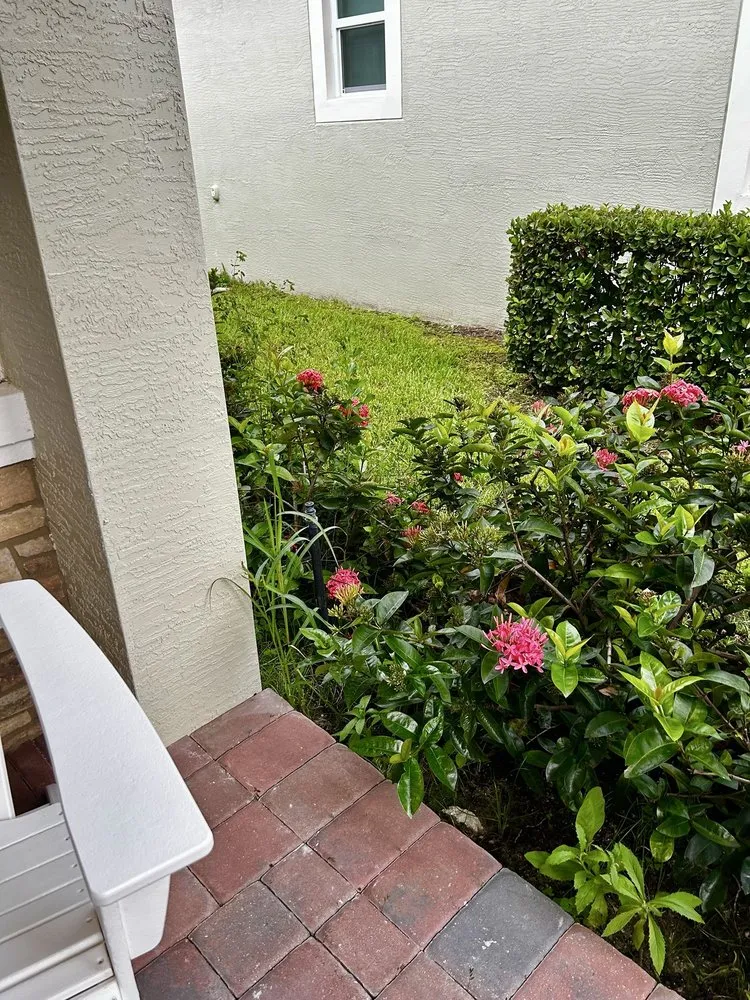 Trusted lawn mowing service in Orlando, FL by United Land Services