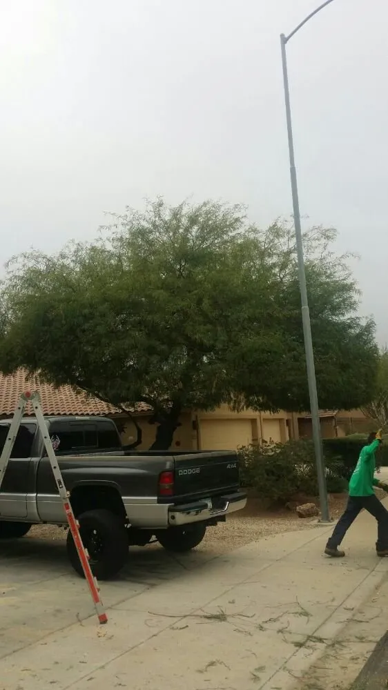 Custom lawn mowing service in Tolleson, AZ - United Landcare Maintenence