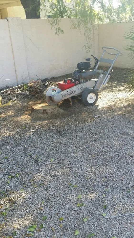 Affordable garden landscaping for outdoor upgrades across Tolleson, AZ - United Landcare Maintenence