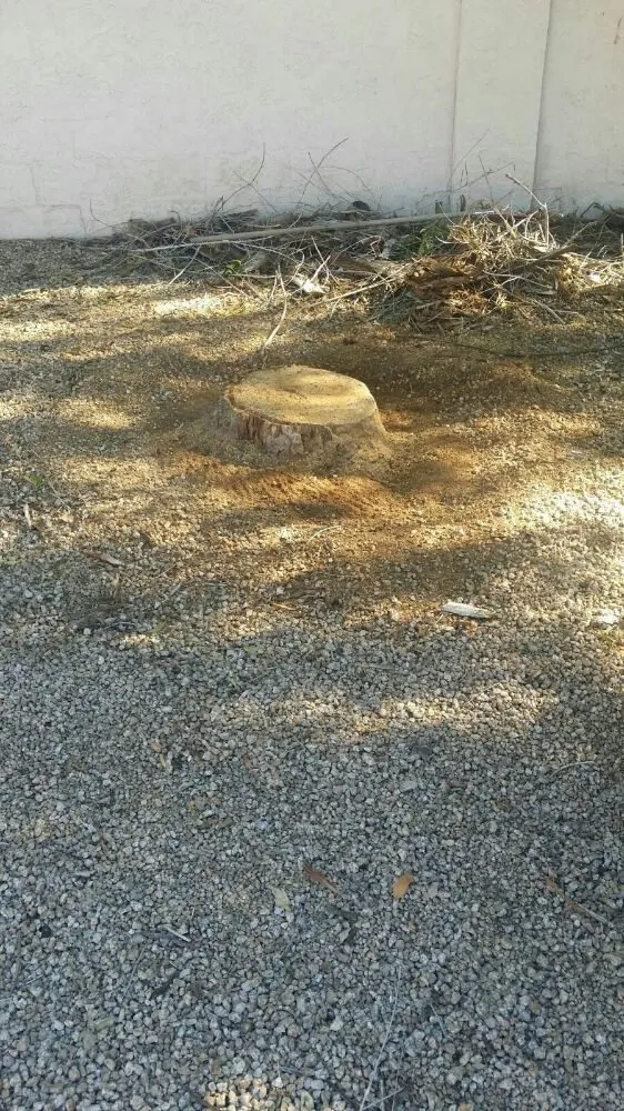 Professional residential landscaping in Tolleson, AZ by United Landcare Maintenence