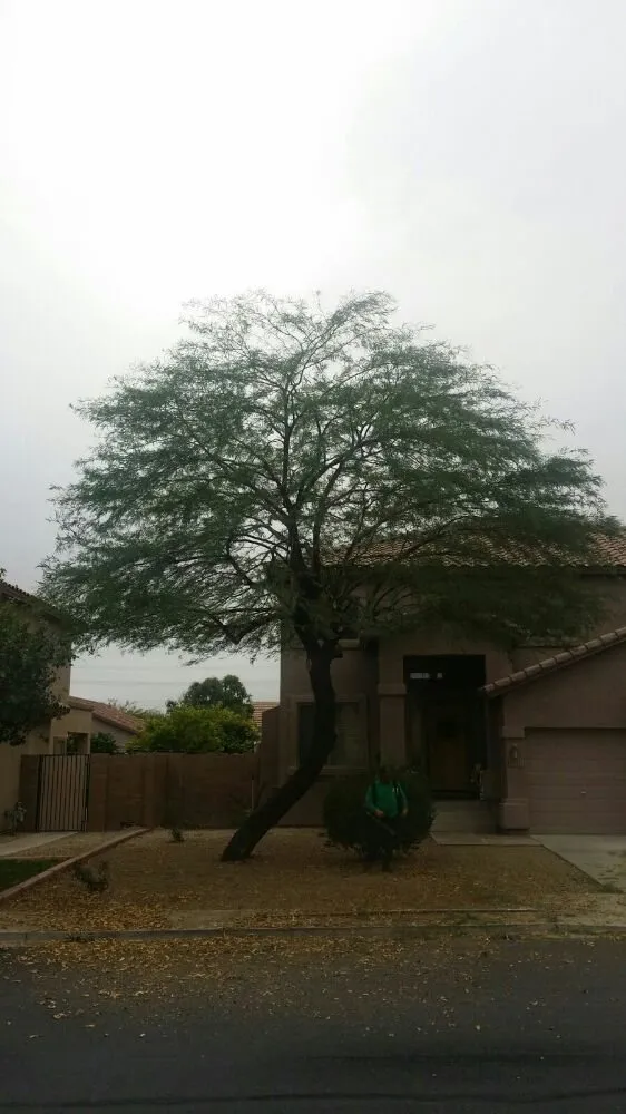 Local landscape installation in Tolleson, AZ by United Landcare Maintenence
