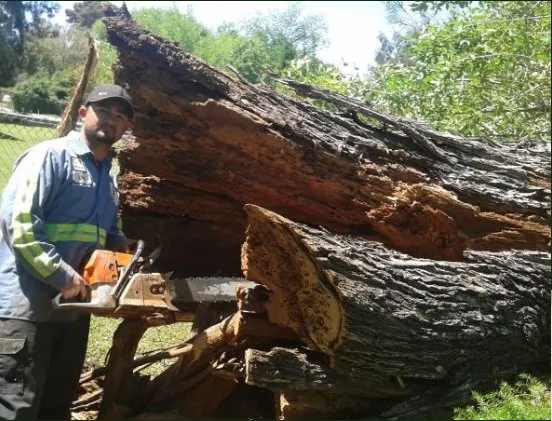 Expert outdoor landscaping for residential properties in Tolleson, AZ by United Landcare Maintenence