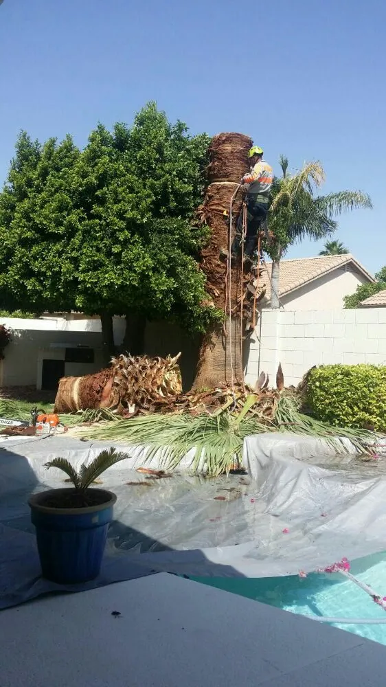 Affordable landscape installation for residential properties across Tolleson, AZ - United Landcare Maintenence