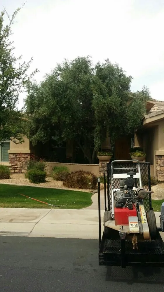 Expert landscape installation for homes in Tolleson, AZ by United Landcare Maintenence