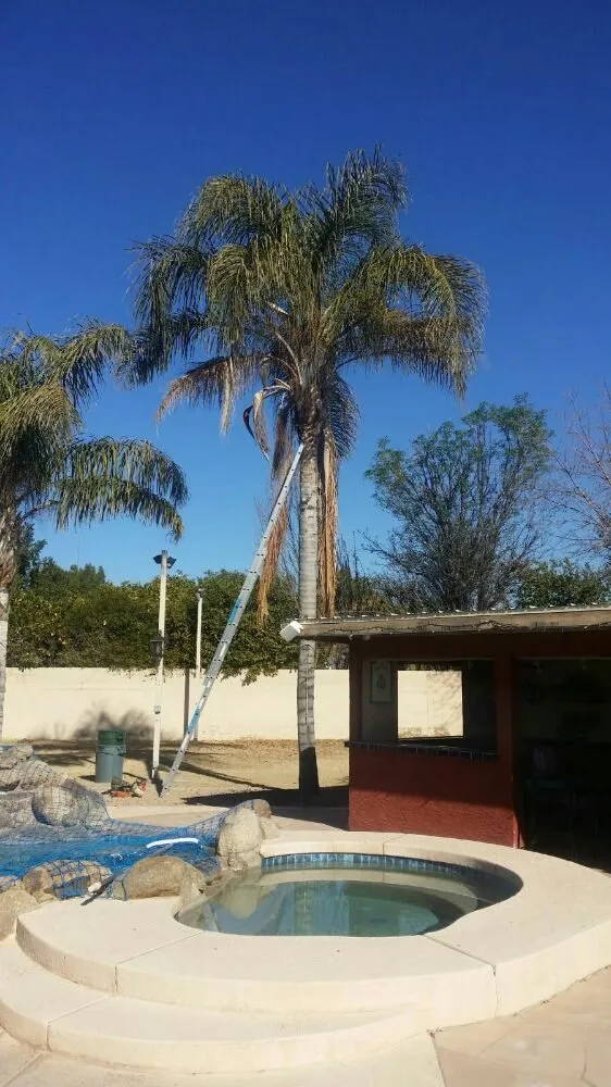 Professional yard maintenance for outdoor upgrades in Tolleson, AZ by United Landcare Maintenence