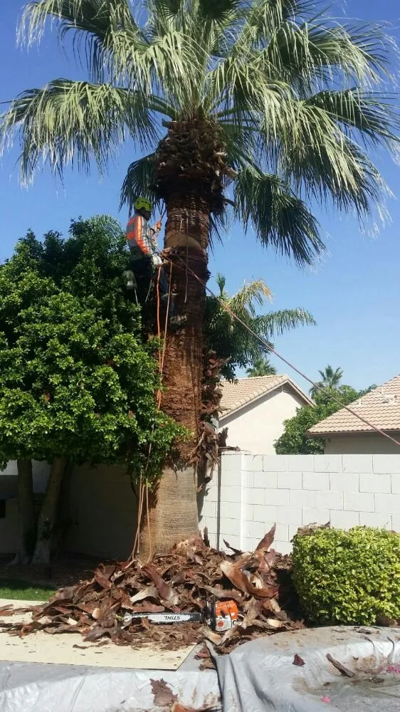 Reliable residential landscaping for residential properties across Tolleson, AZ - United Landcare Maintenence