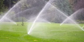 Affordable landscape design in Temple, TX by United Landscape Construction