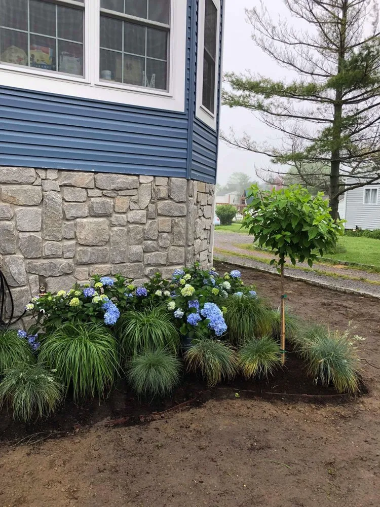 Expert lawn care service in Neptune City, NJ by United Landscape Design