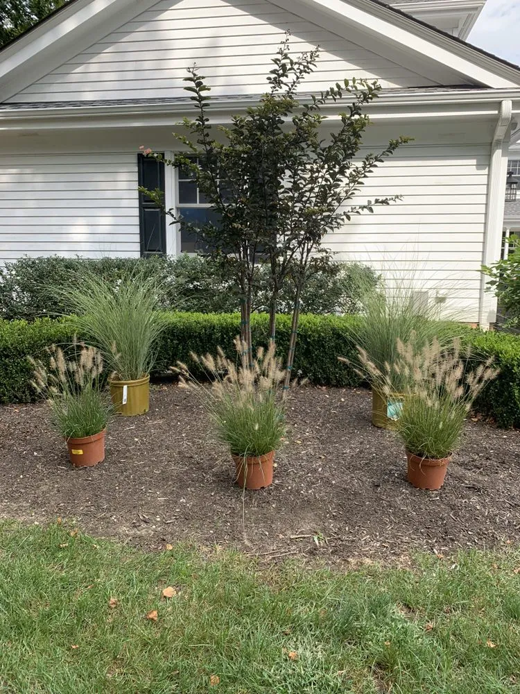 Custom lawn mowing service for residential properties across Neptune City, NJ - United Landscape Design