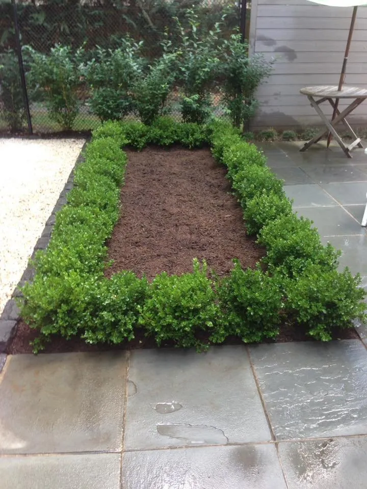 Expert lawn care service for homes in Neptune City, NJ by United Landscape Design