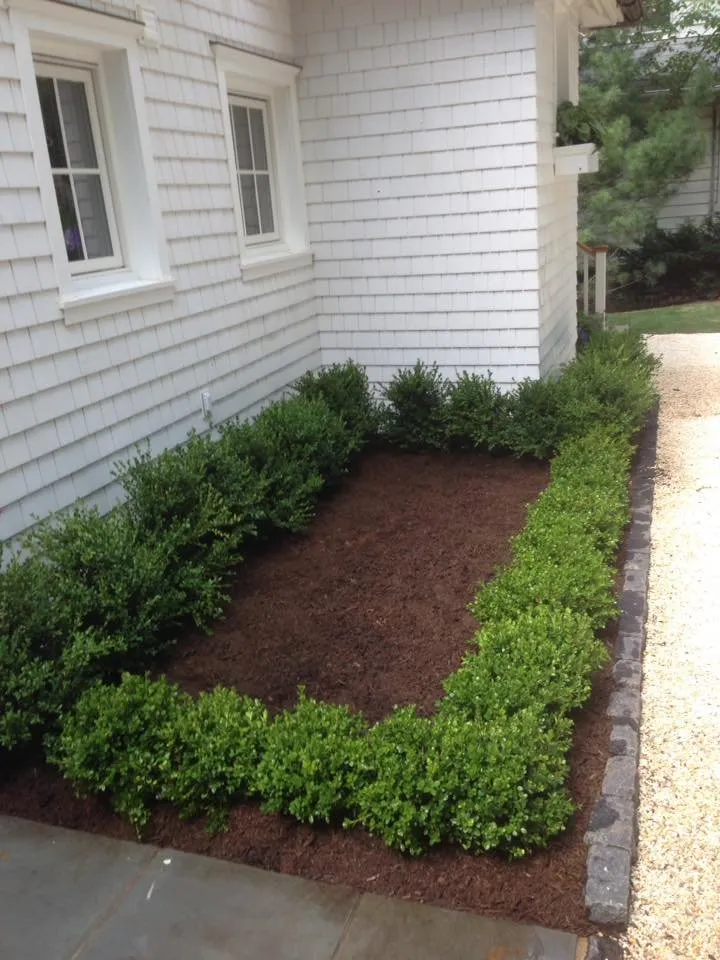 Reliable lawn care service for homes across Neptune City, NJ - United Landscape Design