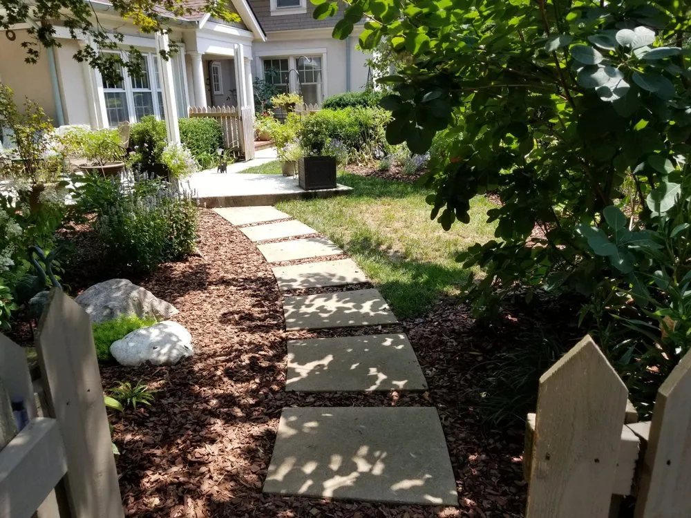 Expert lawn care service in Lexington, KY by United Landscape