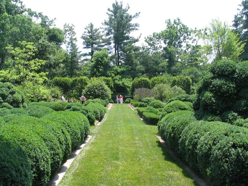 Professional landscaping services in Lexington, KY - United Landscape