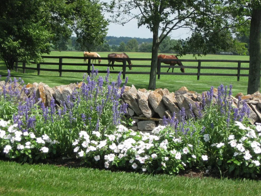 Professional yard maintenance for residential properties in Lexington, KY by United Landscape