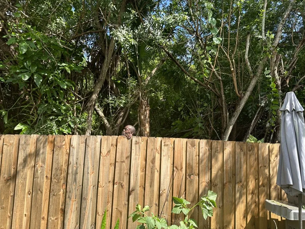 Top-rated lawn care service for year-round maintenance across Vero Beach, FL - United Landscape Management