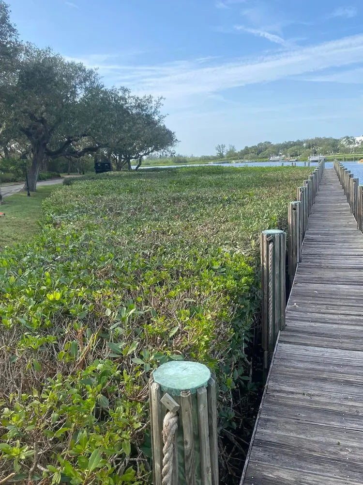 Custom landscape installation in Vero Beach, FL - United Landscape Management