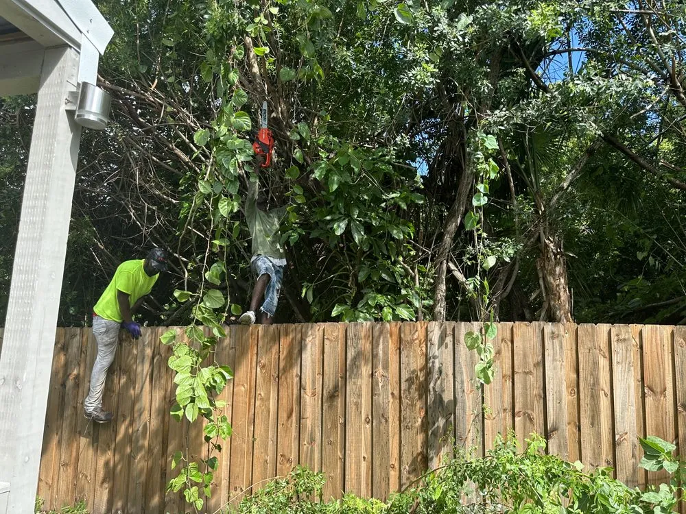 Top-rated lawn care service near you in Vero Beach, FL by United Landscape Management