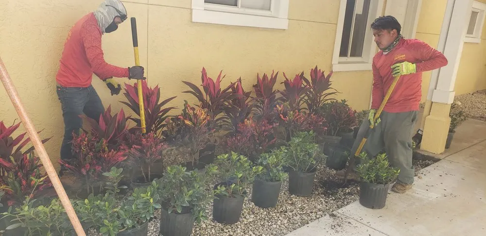 Affordable outdoor landscaping in West Palm Beach, FL - United Landscape Service
