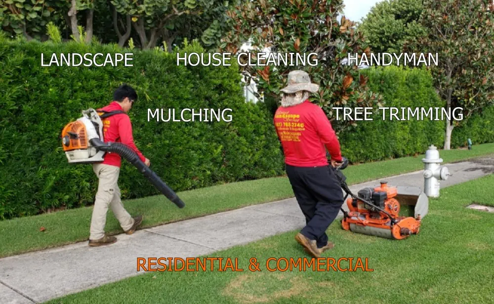 Professional landscape installation in West Palm Beach, FL - United Landscape Service