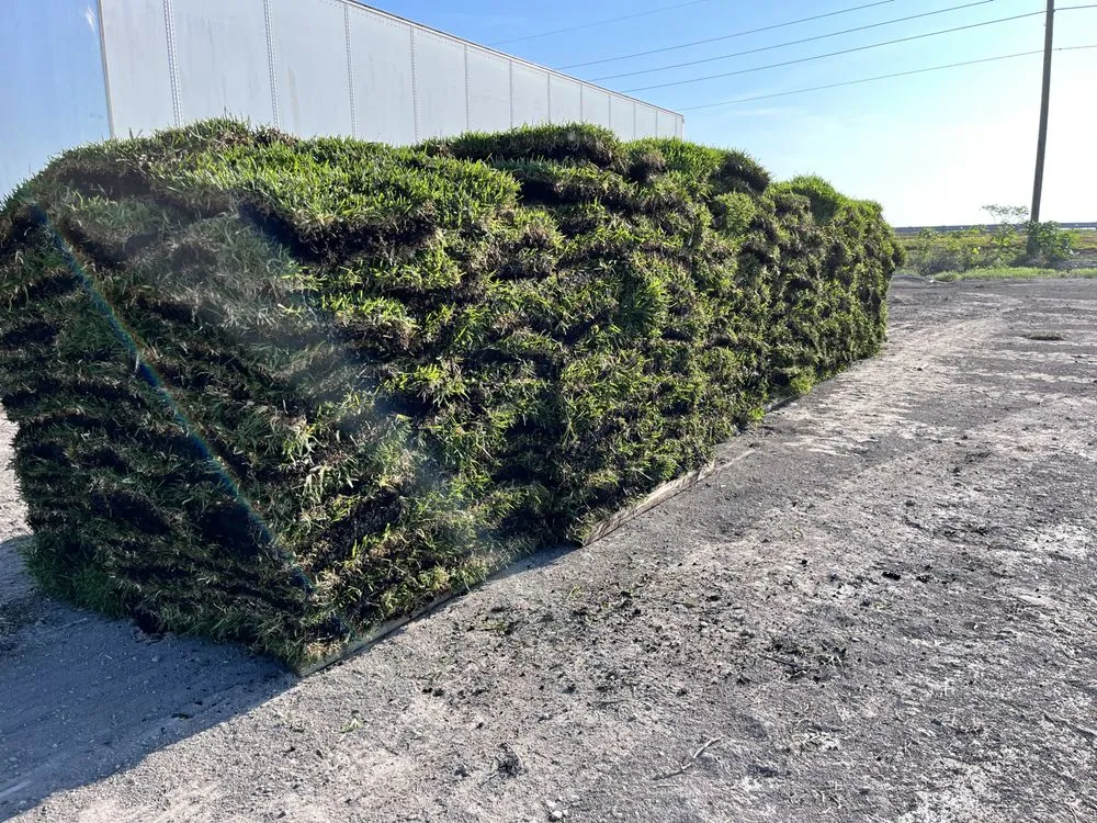 Reliable residential landscaping in West Palm Beach, FL - United Landscape Service