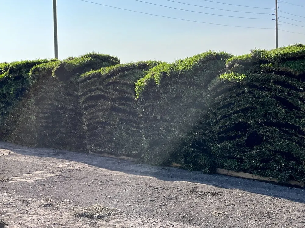 Affordable landscaping services for homes across West Palm Beach, FL - United Landscape Service