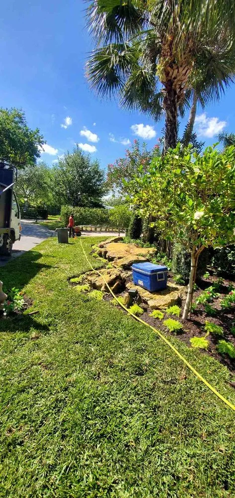 Local yard cleanup service experts serving West Palm Beach, FL - United Landscape Service